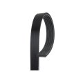 Standard V Ribbed Serpentine Belt For Dodge Avenger 1995 1996 1997 1998 1999 1300mm Circumference 5 Ribs 0 667 In Top Width Olx 
