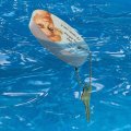 Graphics More Feel Free To Take My Advice I Ll Never Use It Funny Humor Floating Keychain Oval Foam Fishing Boat Buoy Key Float