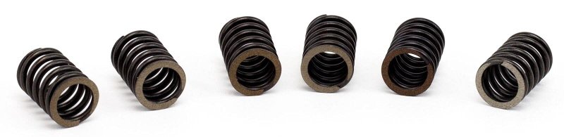 Heavy Duty Clutch Spring Kit For Lt160 Quad Runner And Sport 160 1991 2004 Repair Rebuild With 6 Heat Treated Ultra Durable