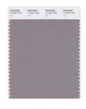 Pantone Smart 17-2601x Color Swatch Card Zinc 