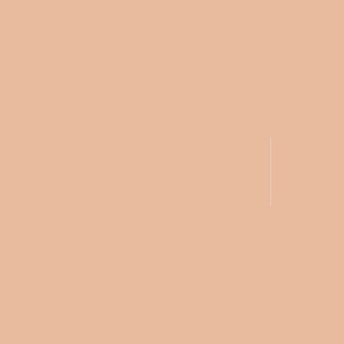 American Clay Plaster Color Pack Sanibel Sunset
