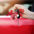 Dried Flower Keychain Zcargel Immortal Eternal Key Chains Keyring With Bell Tassel