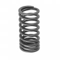 Caltric Inner Valve Springs For Honda Fourtrax 250 Trx250 2x4 1985 1986 