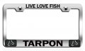 Live Love Fish Tarpon Fishing Chrome Metal License Plate Frame Tag Holder H67 