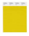 Pantone Smart 14-0755x Color Swatch Card Sulphur 