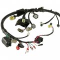 Caltric 32100-hp5-601 Wiring Harness Compatible With Honda Rancher 420 Trx420fe Es 2007