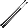 Hood Lift Supports Struts Gas Springs For Honda Accord 1998 1999 2000 2001 2002 Set Of 2 18 31 In Extended Length Replaces 4352 