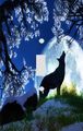 Wolf Blossom Decorative Switchplate Cover 