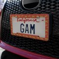 Artsy Morphed Bull Pattern License Plate Tag Frame