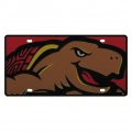 Maryland Terrapins Full Color Mega Inlay License Plate 
