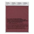 Pantone Smart Swatch 19-1536 Red Pear 