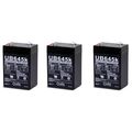 Universal Power Group Awm 85998 D5733 Sealed Lead Acid Batteries 6v 4 5 Ah Ub645 3 Pack 