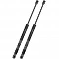 Set Of 2 Rear Tailgate Lift Support Replacement For Nissan Murano Z50 2003-2007 Sport Utility Gas Struts Shock Springs