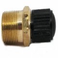 Pasco 1406 1 8-inch Air Valve With Plastic Cap 