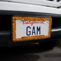 Fall Autumn Harvest Pumpkin And Squash Pattern License Plate Tag Frame