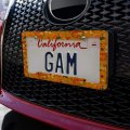 Fall Autumn Harvest Pumpkin And Squash Pattern License Plate Tag Frame