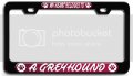 My Heart Belongs To A Greyhound Dogs Pets Bl 3d Metal License Plate Frame Auto Suv Truck Tag Holder K56 
