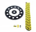 Kawasaki Klx300 Klx 300 Yellow Chain And Sprocket Black 13 48 110l