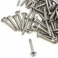 160 Piece Truss Head Screw Set Marine Grade 304 Stainless Steel 10 X 1 25 In For Dock Bumper Installation And Wood Applications 