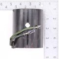 Prestolite Wound Field Pn 380753 