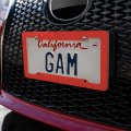 Looney Tunes Gossamer Face License Plate Tag Frame