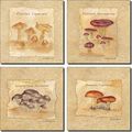Mushroom Accent Set I By Sara Mullen Ceramic Tile 6 X Kitchen Backsplash 