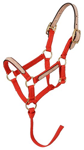 Tough 1 Miniature Nylon Break-away Halter Red Regular