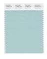 Pantone Smart 14-4809x Color Swatch Card Eggshell Blue 