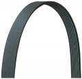 Air Conditioning And Power Steering Serpentine Belt For Geo Metro 1995 1996 1997 1 3l L4 