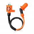 Igniter Cdi Box And Ignition Coil For Honda Fourtrax 300 Trx Trx300fw 2x4 4x4 1998 1999 2000