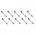 Ceramic Tube Fuse 10 Amp 250 Volt Fast Blow For Microwaves Etc Pack 