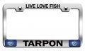 Live Love Fish Tarpon Fishing Fisherman Ch Steel Auto Suv License Plate Frame Tag Holder 
