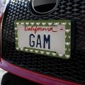 Pinky The Brain Head License Plate Tag Frame
