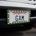 Pinky The Brain Head License Plate Tag Frame