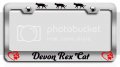 Devon Rex Cat Chrome Metal License Plate Frame Heavy Duty Stainless Steel Tag Holder For Us And Canada Vehicles 12 5 X 6 In