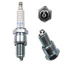 Ngk Spark Plug