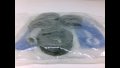 Drive Roll Kit 4-roll V-grooved 0 035 
