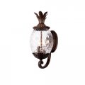 Acclaim 7511bc Lanai Collection 3-light Wall Mount Outdoor Light Fixture Black Coral 
