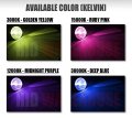 Hid-warehouse Hid Xenon Replacement Bulbs H11 4300k Bright Daylight 1 Pair
