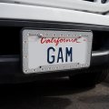 Looney Tunes Bugs Face License Plate Tag Frame