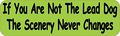 Stickertalk Not The Lead Dog Scenery Never Changes Magnet 10 Inches By 3 