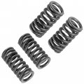 Caltric Exhaust And Intake Valve Spring Compatible With Honda Crf150r 2007 2008 2009 2012 2013-2022