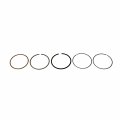 Polaris Atv Piston Ring Set 010 In Genuine Oem Part Qty 1