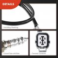 A-premium O2 Oxygen Sensor Compatible With Land Rover Discovery 1999-2004 Freelander 2002-2004 Range 1999-2002 Upstream Replace