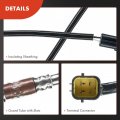 A-premium O2 Oxygen Sensor Compatible With Mazda Mpv 1991-1995 Millenia 1997-2000 Ford Aspire 1996-1997 1 3l 2 5l 3 0l Replace