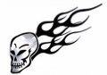 Trimbrite T1952 Steel Effects Skull C B 