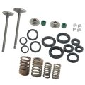 Intake And Exhaust Valve Seals Kit Replacement For 14711-hm8-a40 12209-hm8-a41 Honda Recon 250 Trx250 2x4 2002-2018 