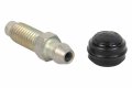 Motorcraft Screw