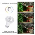 Edearkar Par20 Dimmable Flood Light Bulb Bright Bulbs 9w 90w Equivalent Recesseding 720 Lumens 3000k Warm White E26 Base Indoor