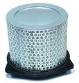Hiflofiltro Hfa3602 Premium Oe Replacement Air Filter 